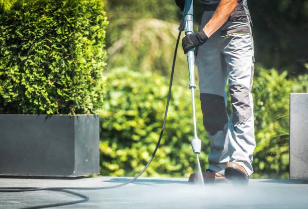 Best Building Exterior Washing  in Zolfo Springs, FL