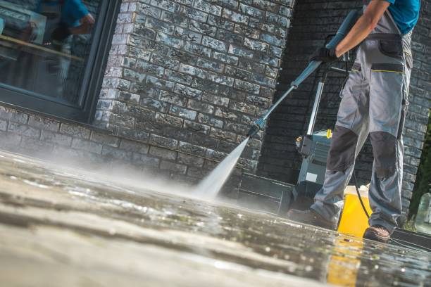 Best Animal Enclosure Cleaning  in Zolfo Springs, FL
