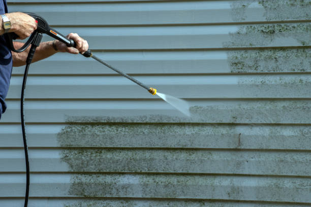 Best Graffiti Removal  in Zolfo Springs, FL