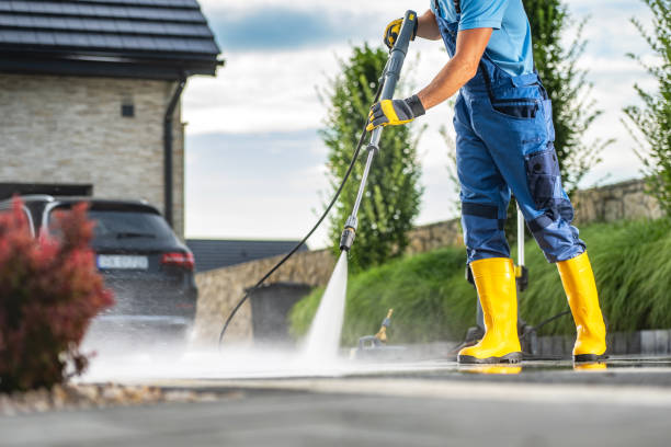 Best Driveway Pressure Washing  in Zolfo Springs, FL